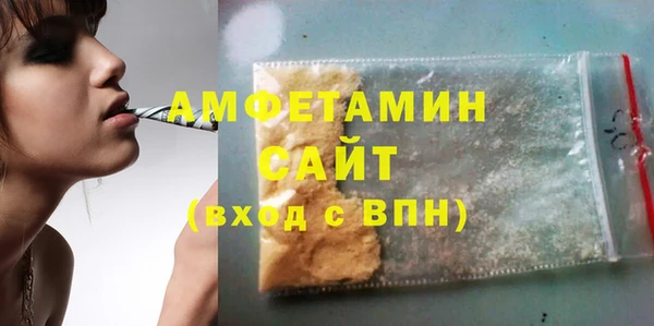 гидра Гусев