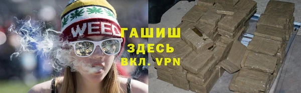 гидра Гусев