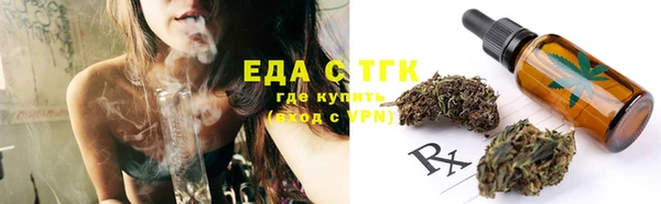 гидра Гусев