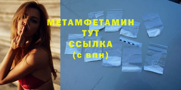 гидра Гусев