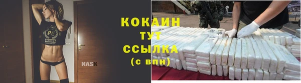 гидра Гусев