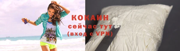 гидра Гусев