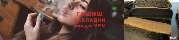 гидра Гусев