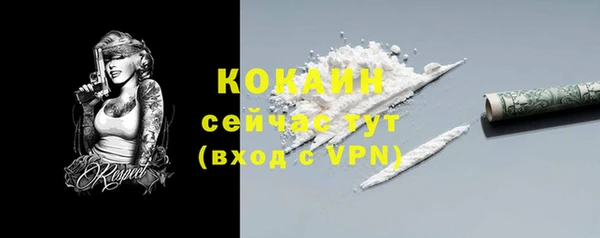 гидра Гусев