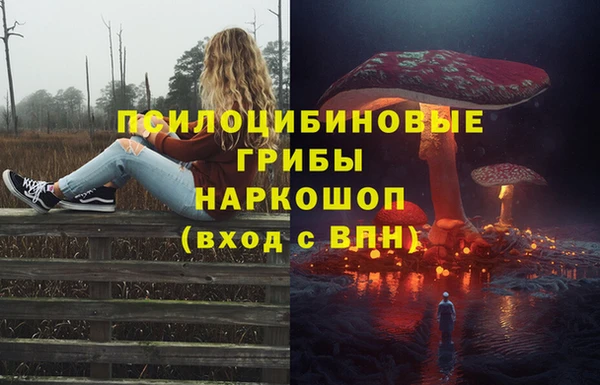 кокс Гусиноозёрск