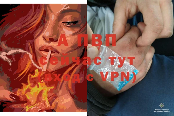 первитин Гусь-Хрустальный