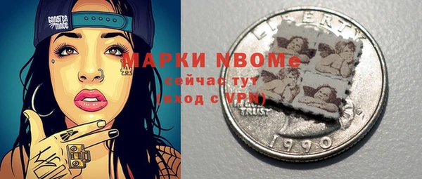 гидра Гусев