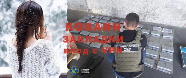 гидра Гусев