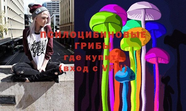 гидра Гусев