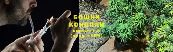 гидра Гусев