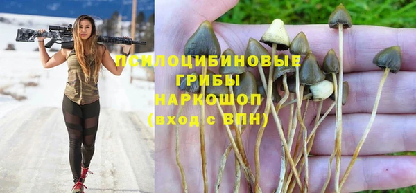 кокс Гусиноозёрск